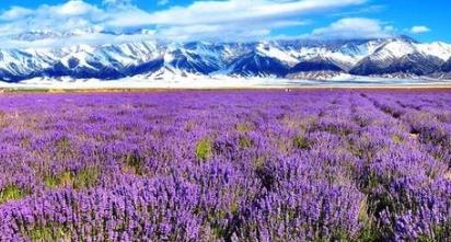 世界最美旅游景點 大溪地這里四季溫暖如春物產(chǎn)豐富