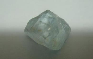 中國最毒的毒藥排行榜 番木鱉就是馬錢子