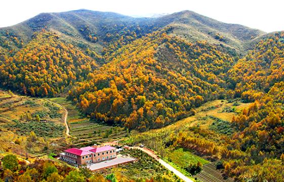 國內適合4月份出游的十大景點排行 黑龍江五大連池是國家AAAAA級旅游景區