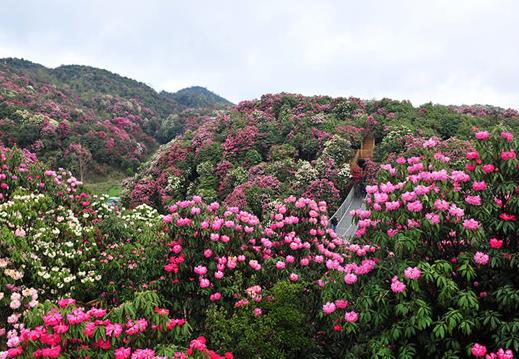 國內適合4月份出游的十大景點排行 黑龍江五大連池是國家AAAAA級旅游景區