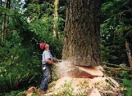 世界十大最危險職業排行 在迪拜當一個窗戶清潔工需要鋼鐵意志