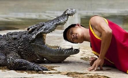 世界十大最危險職業排行 在迪拜當一個窗戶清潔工需要鋼鐵意志