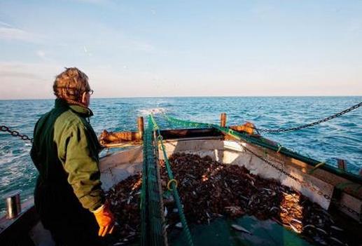 世界十大最危險職業排行 在迪拜當一個窗戶清潔工需要鋼鐵意志