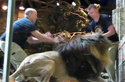 世界十大最危險職業排行 在迪拜當一個窗戶清潔工需要鋼鐵意志