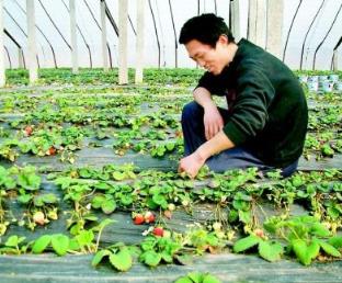 黑龍江名人排行榜 張金鑄是黑龍江著名企業家