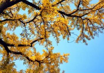德國魏瑪十大旅游景點排行榜 古典魏瑪吸引了眾多的作家和學(xué)者
