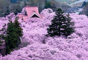 日本十大不可錯過的賞櫻名所 東京上野恩賜公園藝術氣息濃郁