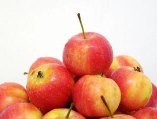 內蒙古十大特產 烏珠穆沁羊肉在全國都是非常聞名的