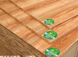 免漆板十大品牌 TUBAO兔寶寶產品銷售網絡覆蓋全國各地