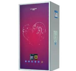 壁掛爐十大品牌 威能壁掛爐是世界領先的環保型壁掛爐生產商