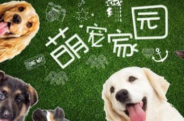 寵物店十大品牌排名 大嘴狗寵物店成立于2009年專注寵物醫療服務