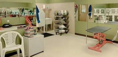 寵物店十大品牌排名 大嘴狗寵物店成立于2009年專注寵物醫療服務