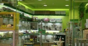 寵物店十大品牌排名 大嘴狗寵物店成立于2009年專注寵物醫療服務