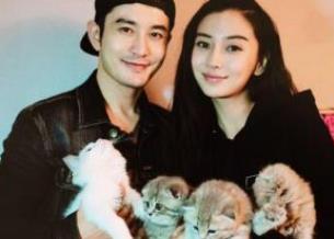 中國慈善名人榜前十明星 黃曉明&楊穎對公益事業非常重視