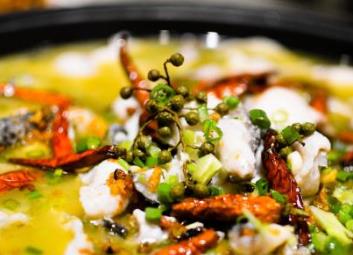 四川魚火鍋十大品牌 藤椒魚火鍋鮮而不腥回味悠長