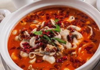 四川魚火鍋十大品牌 藤椒魚火鍋鮮而不腥回味悠長