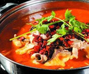 四川魚火鍋十大品牌 藤椒魚火鍋鮮而不腥回味悠長