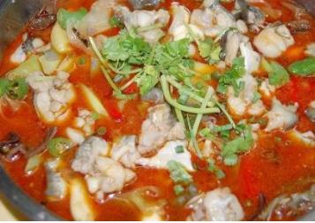 四川魚火鍋十大品牌 藤椒魚火鍋鮮而不腥回味悠長