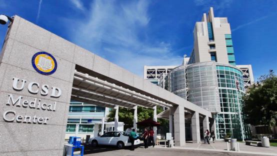 美國十大籃球名校 美國籃球名校排行榜 美國最厲害的籃球大學