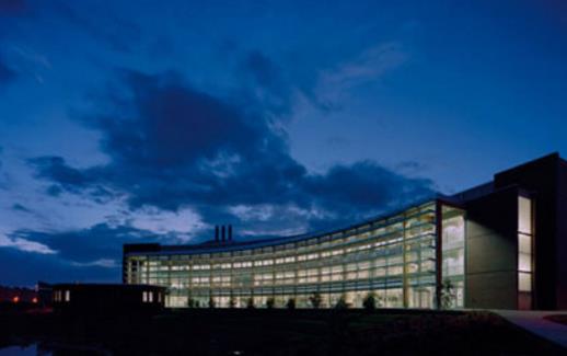 美國十大籃球名校 美國籃球名校排行榜 美國最厲害的籃球大學