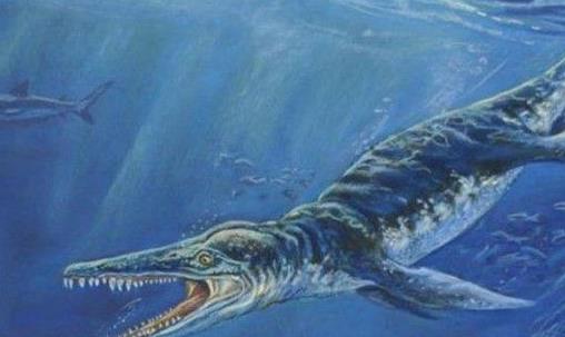 大十最著名恐龍盤點 霸王龍光頭部長度最大約1.55米