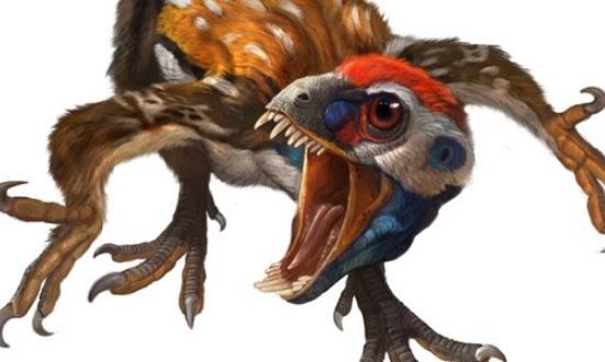 大十最著名恐龍盤點 霸王龍光頭部長度最大約1.55米