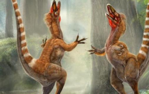 大十最著名恐龍盤點 霸王龍光頭部長度最大約1.55米