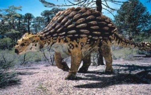 大十最著名恐龍盤點 霸王龍光頭部長度最大約1.55米