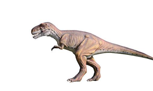 大十最著名恐龍盤點 霸王龍光頭部長度最大約1.55米