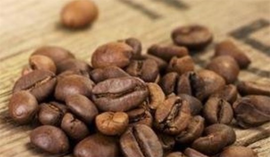 世界十大最貴的咖啡排名 麝香貓屎咖啡每磅160美元