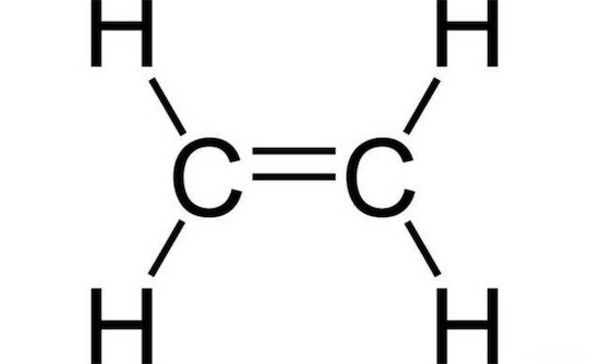 古代十大止痛方法排名 排名第一的居然是罌粟