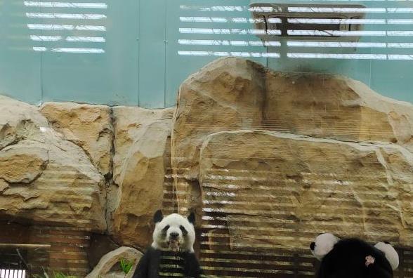 �ɶ�����@ֵ��ȥ�᣿����Щ���