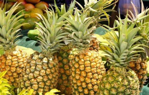 菠蘿2.jpg