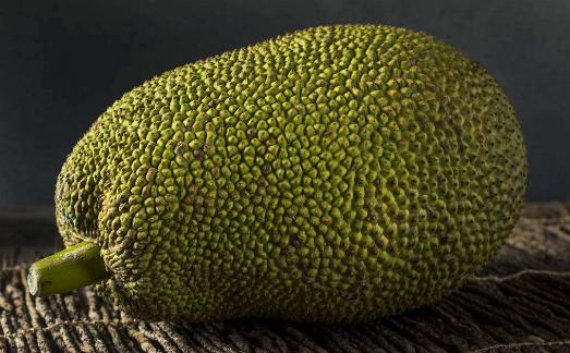 菠蘿蜜的營養(yǎng)價(jià)值 菠蘿蜜圖片 菠蘿蜜的核怎么吃