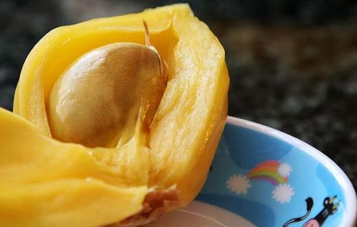 菠蘿蜜的營養(yǎng)價(jià)值 菠蘿蜜圖片 菠蘿蜜的核怎么吃