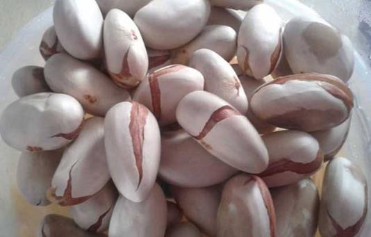 菠蘿蜜的營養(yǎng)價(jià)值 菠蘿蜜圖片 菠蘿蜜的核怎么吃