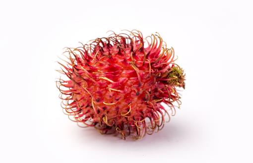 紅毛丹好吃嗎?紅毛丹不能和什么一起吃 紅毛丹的營養