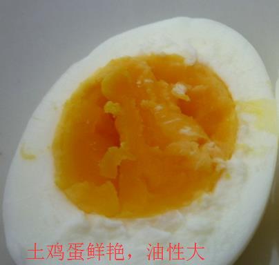 土雞蛋與普通雞蛋有什么區別 土雞蛋與普通雞蛋營養價值對比分析