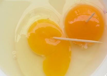 土雞蛋與普通雞蛋有什么區別 土雞蛋與普通雞蛋營養價值對比分析