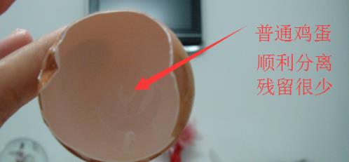 土雞蛋與普通雞蛋有什么區別 土雞蛋與普通雞蛋營養價值對比分析