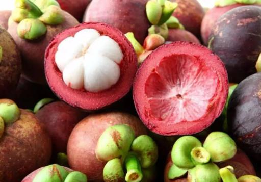 1655335108305194.jpg 9、山竹.jpg