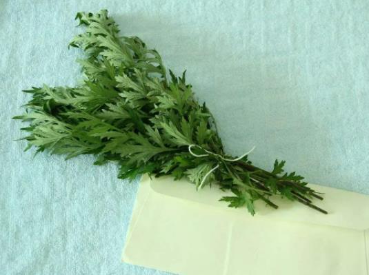 undefined 360截圖20220616081934794.jpg