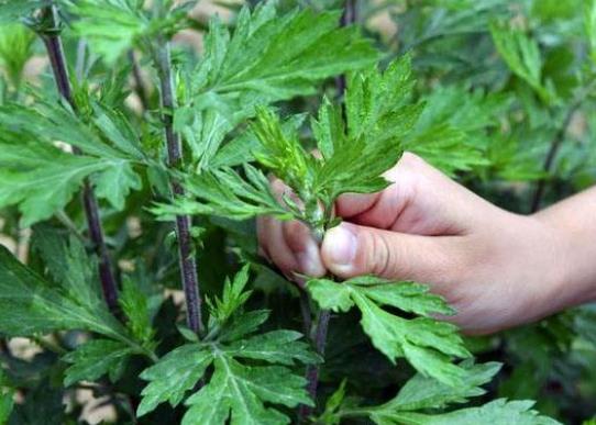 undefined 360截圖20220616081919893.jpg