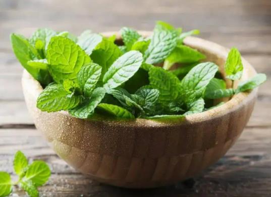 ���ɕ��������x���������(q��)��Ч����ô��