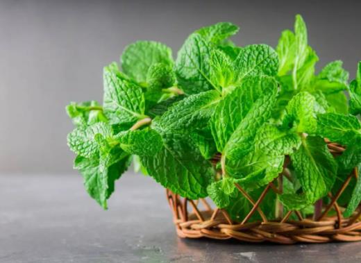 ���ɕ��������x���������(q��)��Ч����ô��