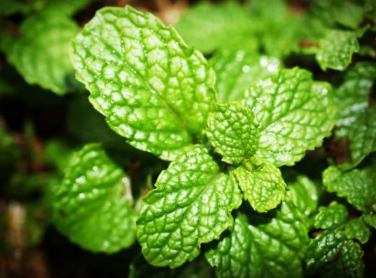 ���ɕ��������x���������(q��)��Ч����ô��