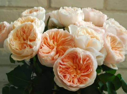 �����~õ���m�����ɻ��᣿�����~õ����B(y��ng)��