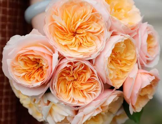 �����~õ���m�����ɻ��᣿�����~õ����B(y��ng)��