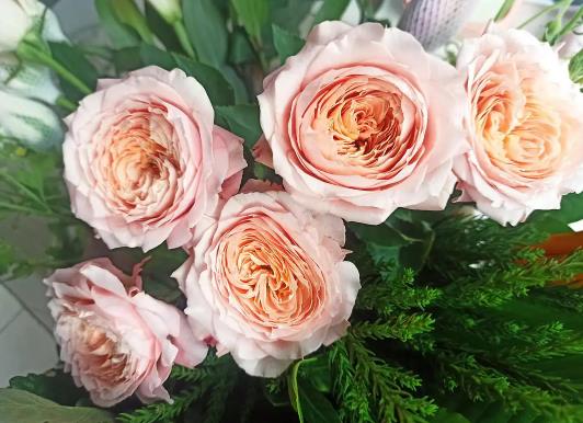 �����~õ�����ɻ��ÿ��᣿�B�����~õ����Щ��Ҫע���