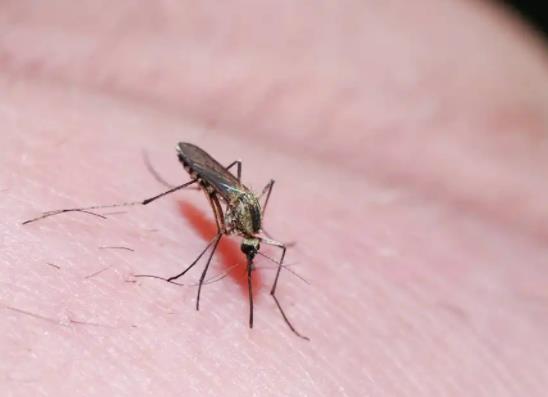 ��ʲô����һֱ�ڶ�߅������ô׌���Ӳ�ҧ�Լ�